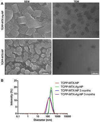 The Antibacterial Effects of Supermolecular Nano-Carriers by Combination of Silver and Photodynamic Therapy